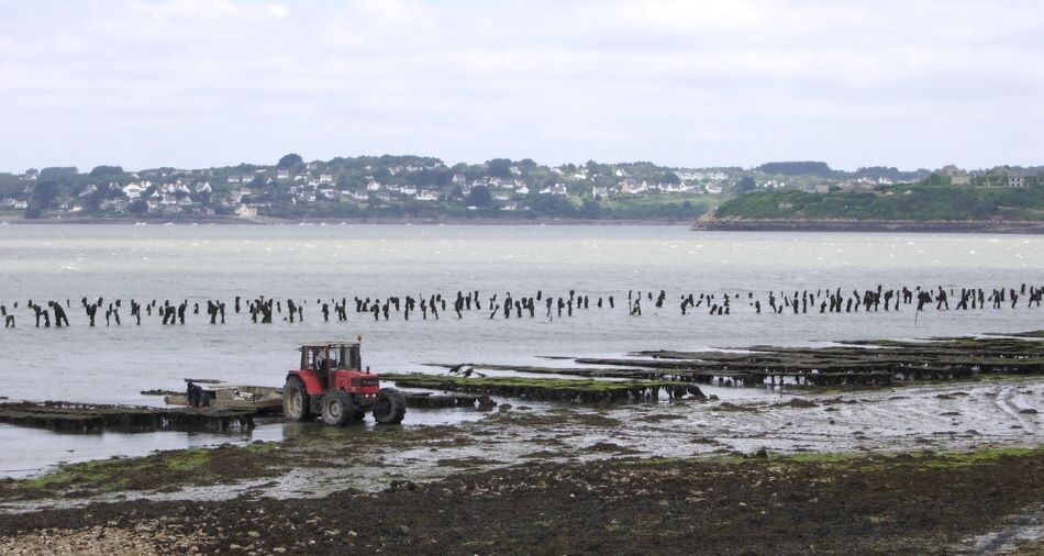 Activités conchylicoles sur la presqu'île de Crozon, dans le Finistère 