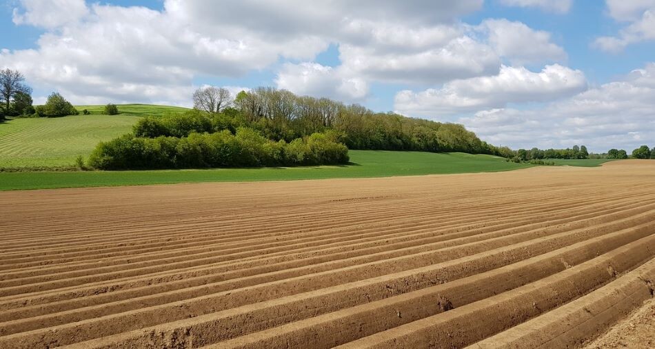 Exemple de petits bois au sein d’un paysage agricole picard, à Contay 