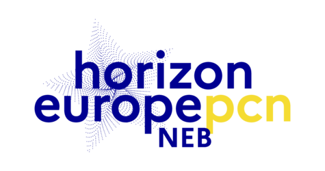PCN NEB visuel